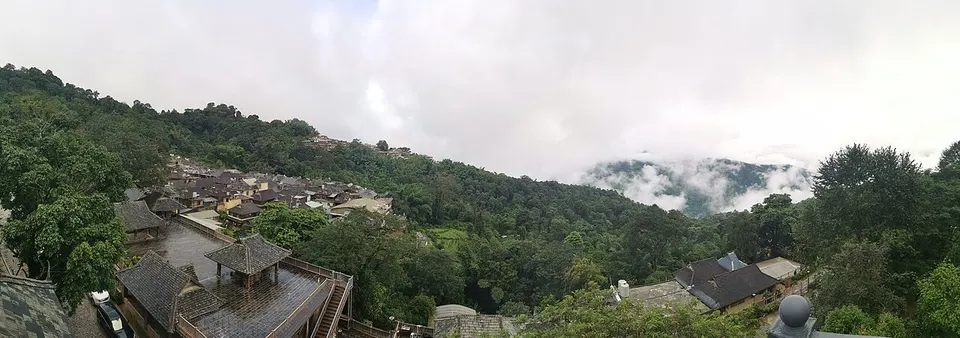 Old Tea Forests of Jingmai Mountain (景迈山古茶林)