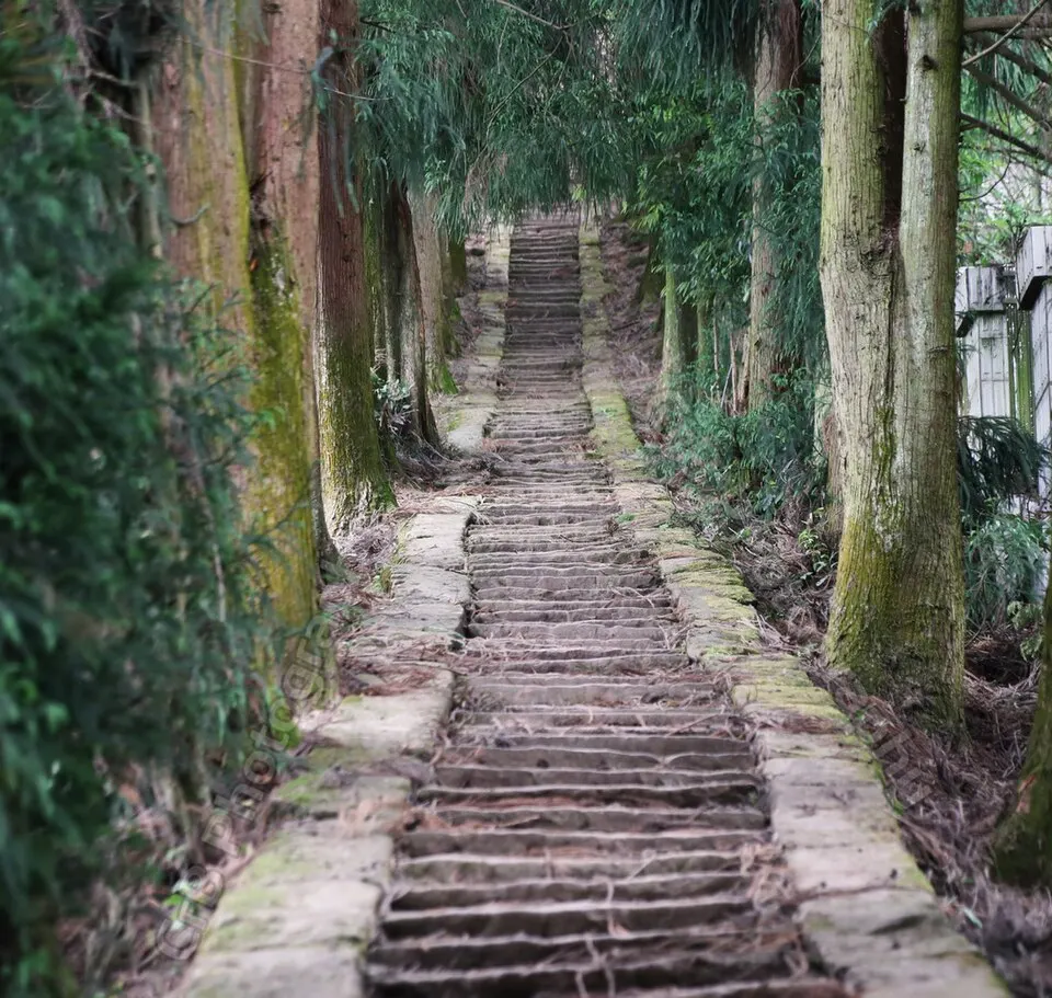 Mount Mengding (蒙顶山)