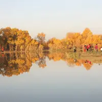 Ejin Poplar Forest
