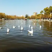Green Lake Park