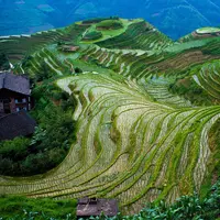 Longji Rice Terraces
