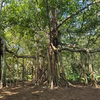 Xishuangbanna Tropical Botanical Garden