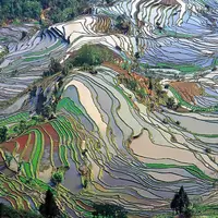 Yuanyang Rice Terraces