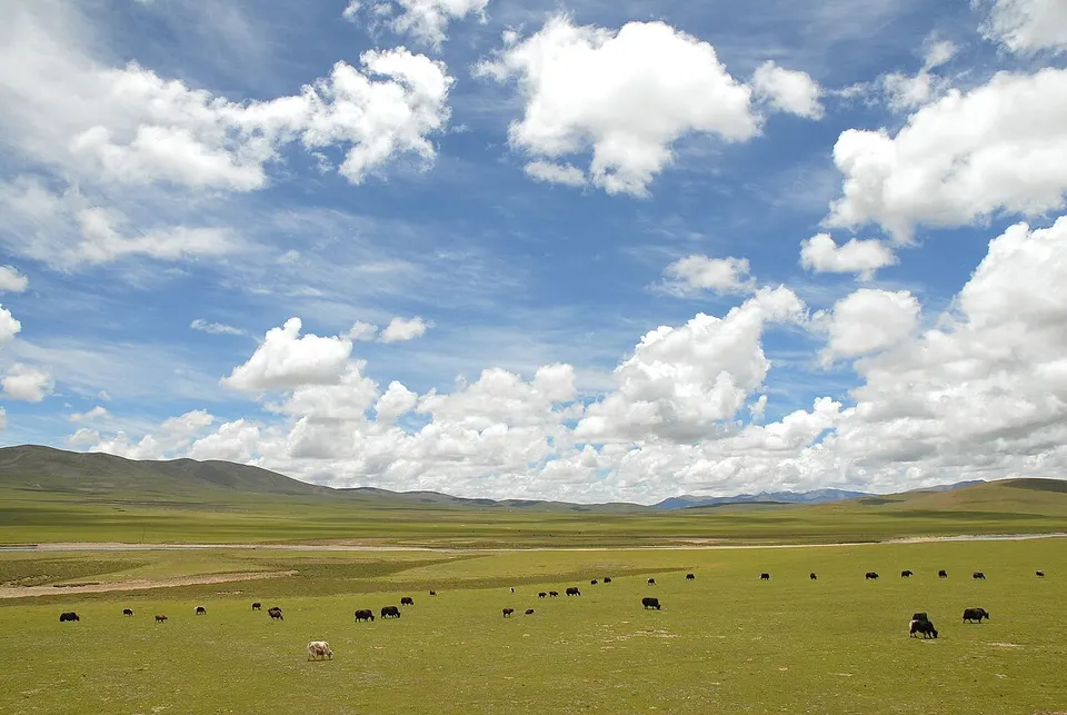 Nagqu (那曲)