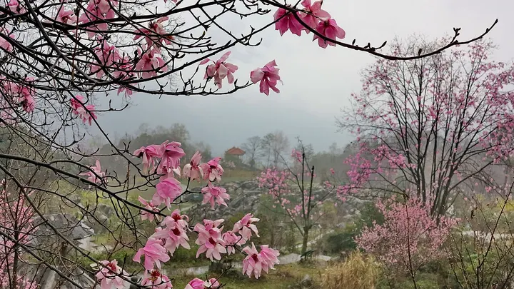 Yaowang Valley, Beichuan (药王谷)
