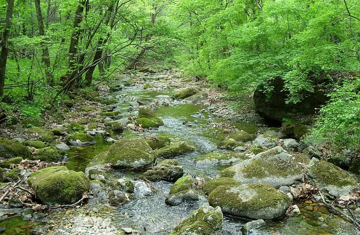 Guanmenshan Forest Park (关门山森林公园)