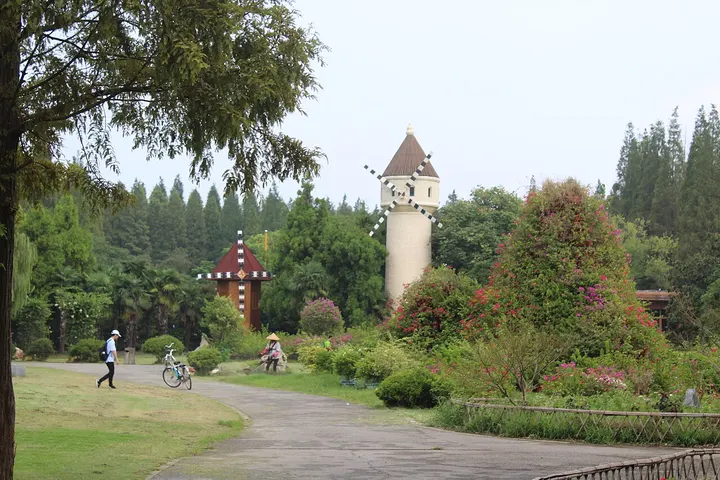 Dongping National Forest Park (东平国家森林公园)