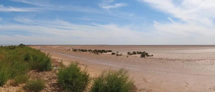 Yellow River Estuary Eco-Tourism Area (黄河口生态旅游区)