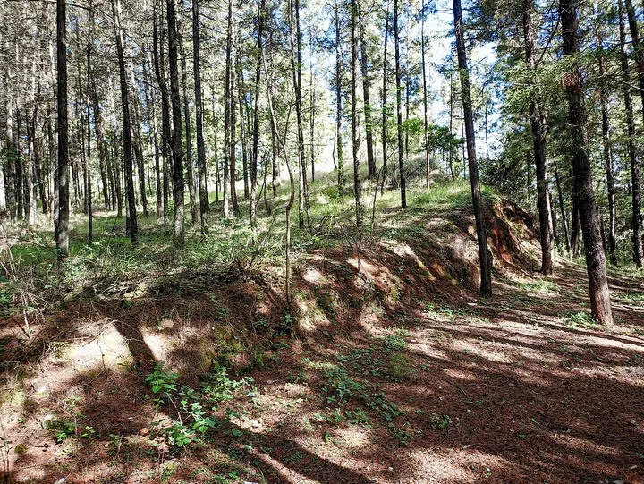Deyuan City Ruins (德源古城遗址)