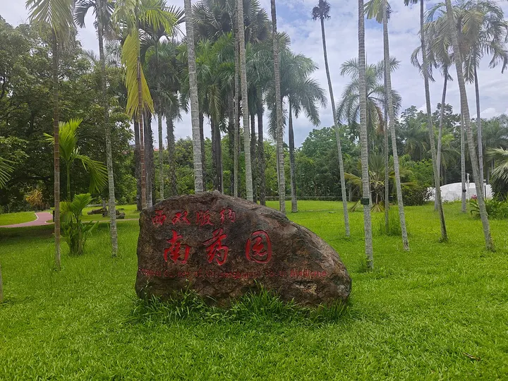 Xishuangbanna Southern Medicine Garden (西双版纳南药园)