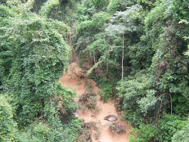 Wild Elephant Valley (野象谷)