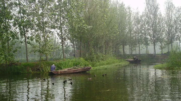Weishan Lake (微山湖)