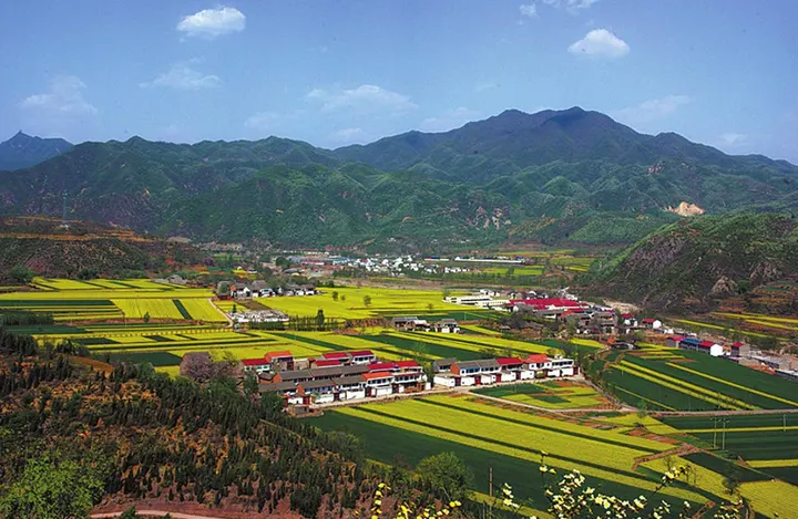 Mount Wangwu (王屋山)