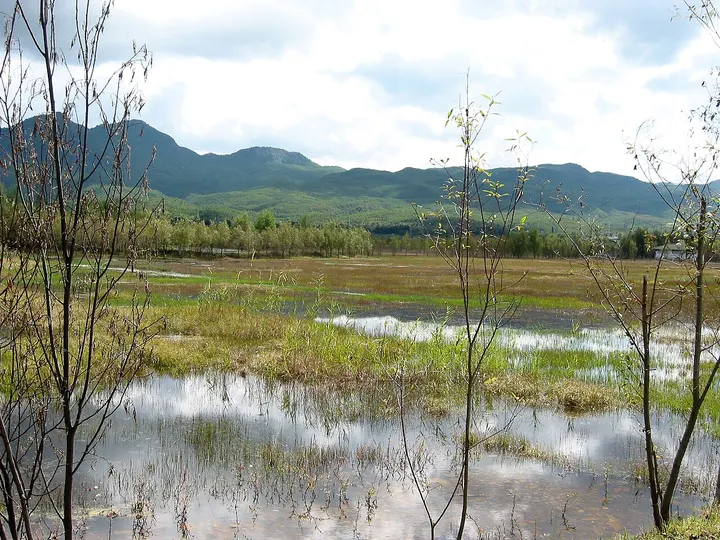 Lashi Lake (拉市海)