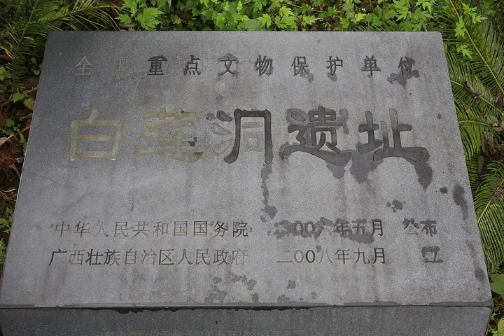 Bailiandong Cave Science Museum (白莲洞洞穴科学博物馆)
