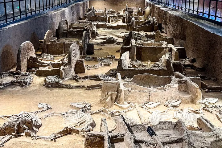 Eastern Zhou Royal Horse and Chariot Museum (天子驾六博物馆)