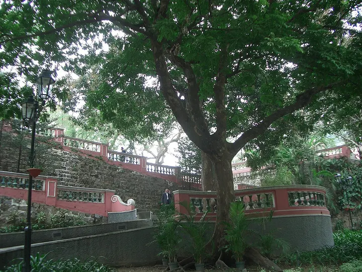 S. Francisco Garden (加思栏花园)
