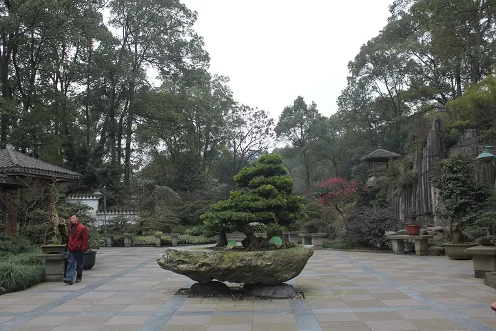 South Mountain Botanical Garden (南山植物园)