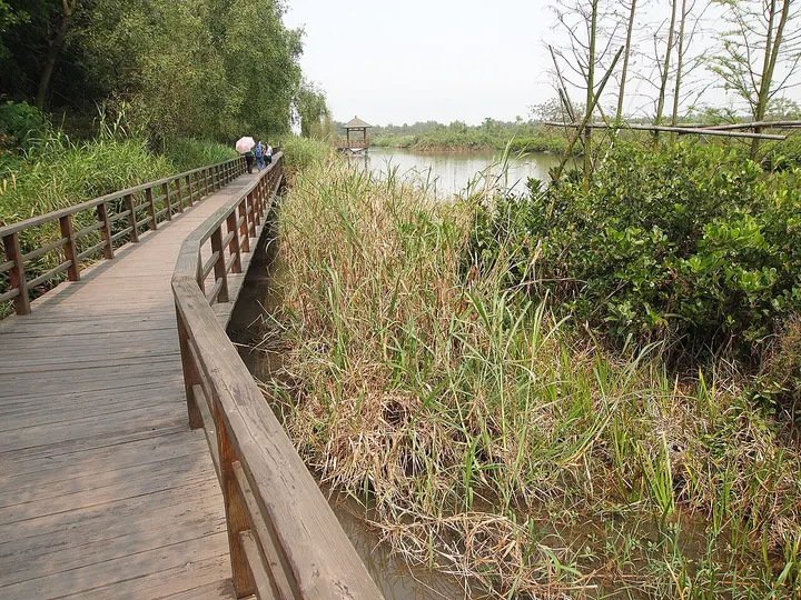 Greater Bay Area Central Wetland Park (Nansha Wetland) (大湾区中央湿地公园)