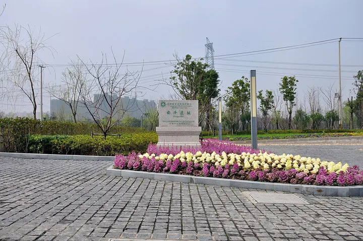 Songze Site (崧泽遗址)