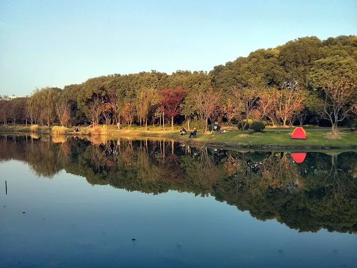 Century Park (世纪公园)