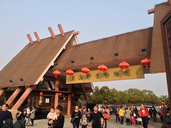 Shanghai Wild Animal Park (上海野生动物园)