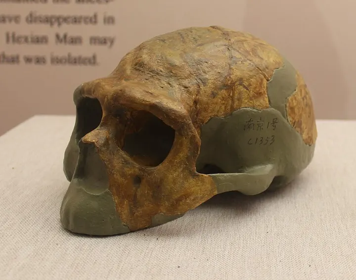 Nanjing Man Site (Tangshan Ape-Man Cave) (南京古猿人洞)
