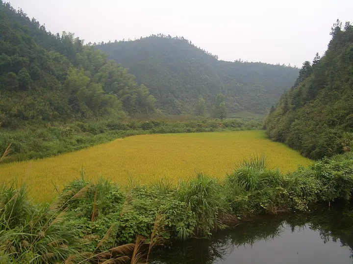 Jiugong Mountains (九宫山)