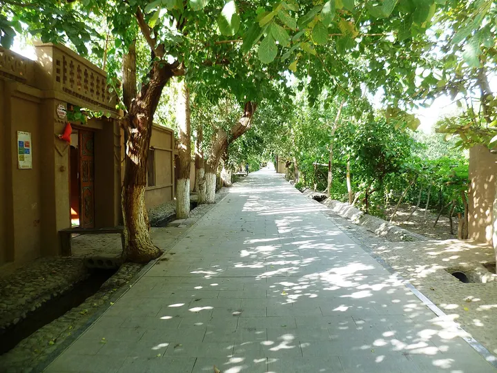 Grape Valley (葡萄沟)
