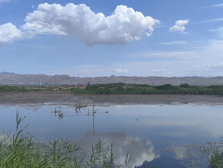 Ulansuhai Nur (Wuliangsuhai) (乌梁素海)