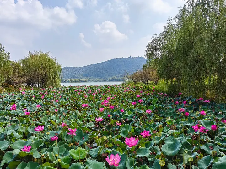 Xianghu Lake and Kuahuqiao Site Museum (湘湖·跨湖桥)